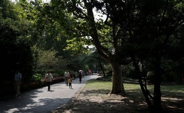 林中稚童