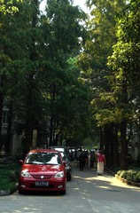 杨浦区延吉三村小区 (2)