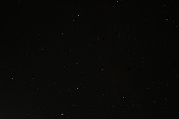 334121