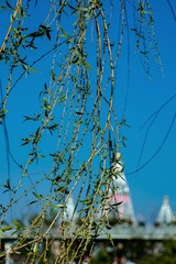 8C5E6554-DDB9-4D5E-862C-DCE4B1699620/L0/001