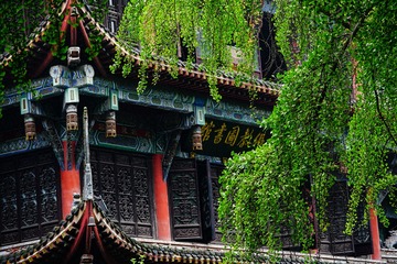 文殊院 (72)