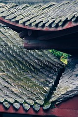 青羊宫 (56)