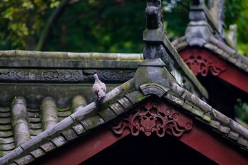 青羊宫 (106)