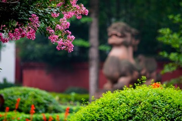 青羊宫 (123)