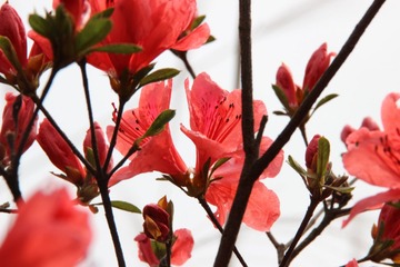 照片 019.jpg