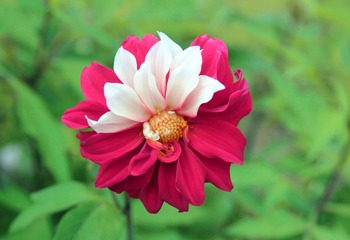 照片 001.jpg