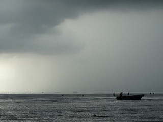 B7706446-589E-494E-AF0F-B83B776E704B/L0/001