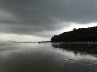 D2BA6547-65A1-4D20-A8C2-C7E1CB37E50E/L0/001