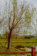 1CBEA1F5-1CDB-42EE-A6E4-B64D75D32A99/L0/001