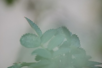 FA50D81D-8814-4A64-B2C0-D9CE9937D92E/L0/001