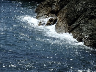 FDE8A69F-7494-4F00-A060-E23994D534CE/L0/001
