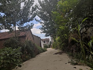 2175256