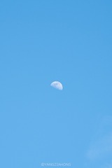 C5B39F16-4144-4B36-90E8-2D177C99B606/L0/001