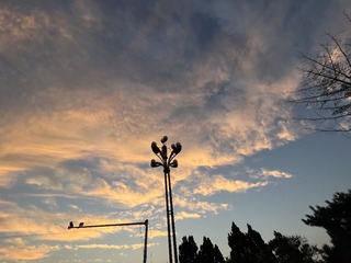 17792FCF-FC39-4C1C-805C-6EBEEF7E667F/L0/001
