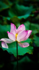 D7793E4B-F3E6-4227-A8E4-CC213456CC48/L0/001
