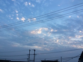 48E0E912-F54F-4C82-A95F-40D1E309FBE1/L0/001