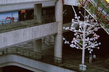 40275CE3-D4C9-4236-A1B0-63DD4B4357D0/L0/001