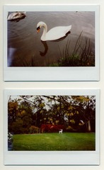 Untitled-1.jpg