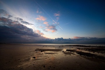 IMG_2658.jpg