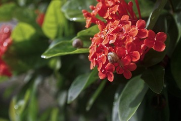 _IGP0026.jpg