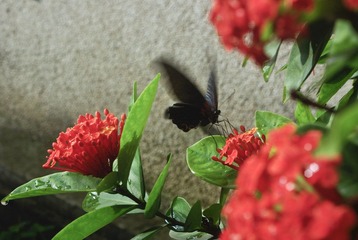 _IGP0073.jpg