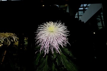 02CB127A-C019-4ED8-AC00-C77C122F40E8/L0/001