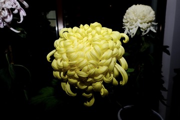 80D8AA45-0810-44B5-B53C-1E5C9367349B/L0/001