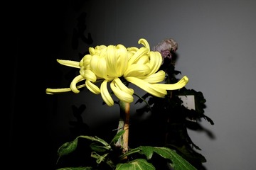 5D77971A-D15B-4B80-871D-ED25CB1DCE95/L0/001