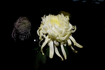 483BA498-84F0-475C-83DA-E81FCD86A856/L0/001