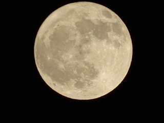 1000216427
