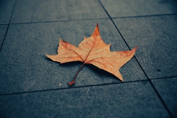 F98D092F-E286-4524-91AB-520AA9B887E3/L0/001