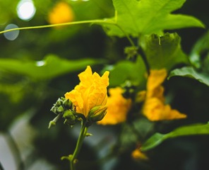 BB907385-D38C-4339-9EA0-1E4FB4329AC3/L0/001