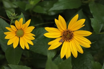 DF6B78EB-57B0-4362-B5ED-1D5EEC41920C/L0/001