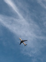 F6855696-5D2B-4B1E-93DD-359D8E1CB82A/L0/001