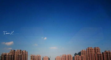 IMG_2835.jpg