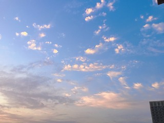 C307C8DA-5F0D-4761-9A73-BDAD73C2233A/L0/001