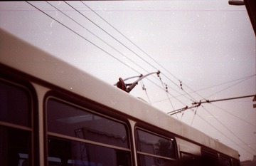 Image0008.JPG