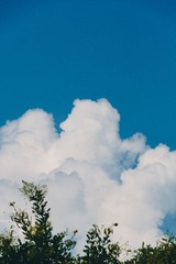 1000006389