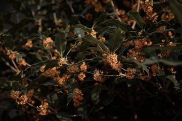 65EAE833-FD21-409C-98B7-6D8A53450FE0/L0/001