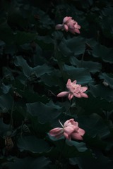 4C41E344-5139-461F-AB40-95F844D2CC96/L0/001