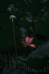 15A9DF9F-9739-4A6B-AD45-82507981354F/L0/001