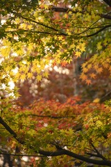 F828D710-7ADA-4760-8B5C-94322FB2C57F/L0/001