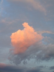 F00B2D4F-0C2C-4BE6-9A12-6CF19B40A90A/L0/001