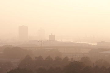 _MG_4445.jpg