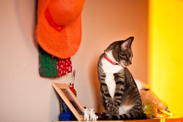 _MG_6904.jpg
