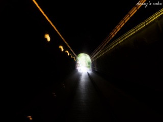 IMG_1676.jpg