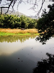 IMG_1935.jpg
