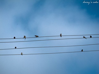 IMG_1818.jpg