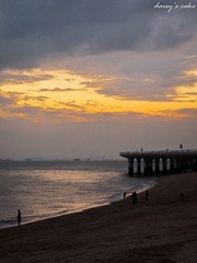 IMG_2156.jpg