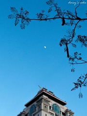 IMG_3095.jpg